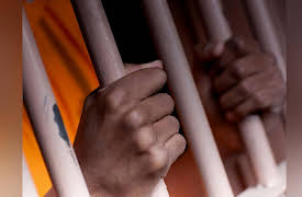 Forensic History: Crimes, Frauds, and Scandals: The Truth behind False Confessions