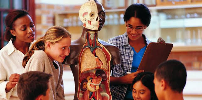 4:30 PM: How It's Made (S11) | Discovery Channel | 3/13 2026