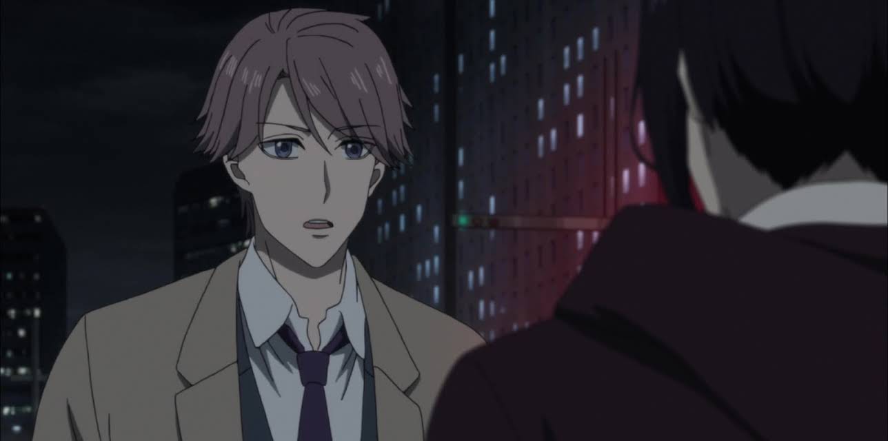 Beneath the Cherry Tree Forest In Full Bloom