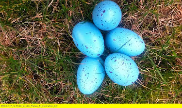 12:20: Früher waren die Ostereier bunter! | 3SAT | 4/5 2026