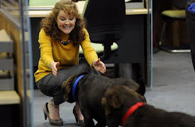 The Job Lot, Season 1: Birthday