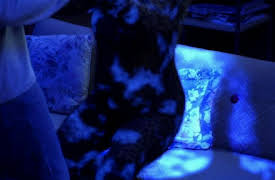 Raising Hope Season 1: A Germ of a Story