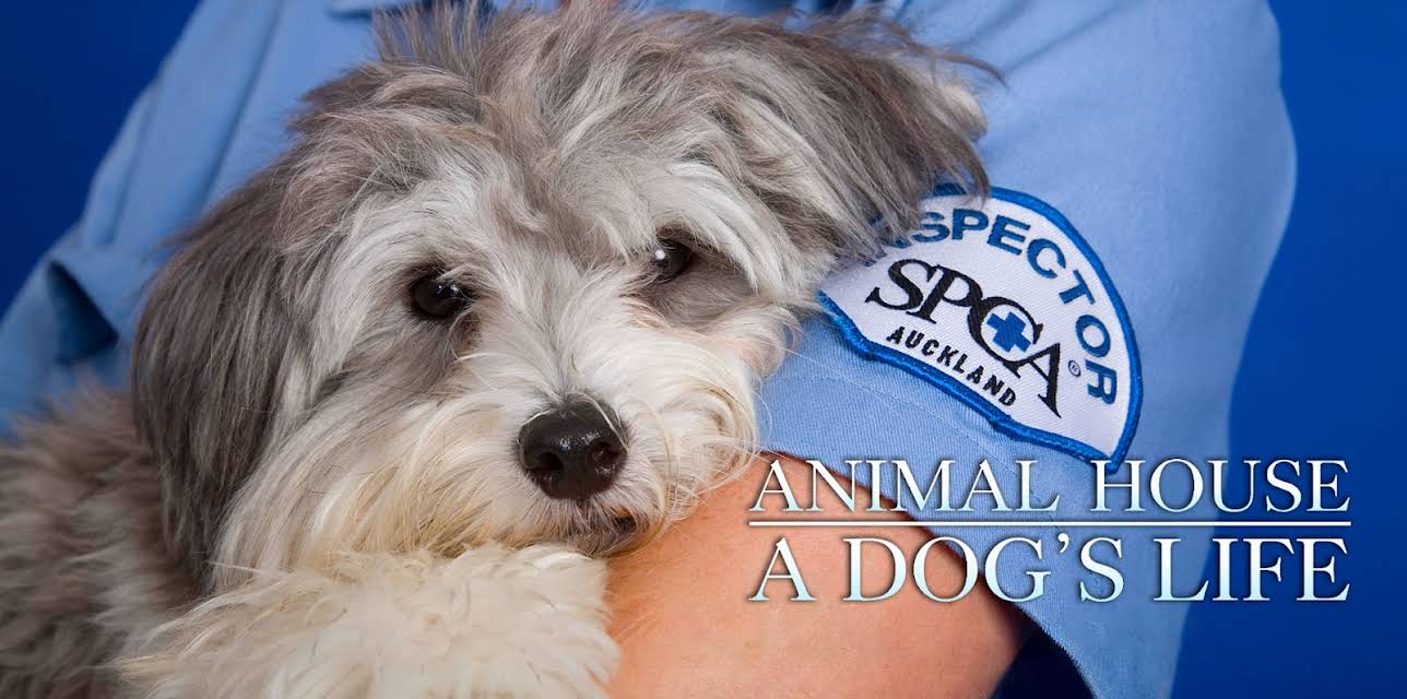 Animal House: A Dog's Life