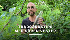 Trädgårdstips med Sören Vester