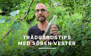 Trädgårdstips med Sören Vester