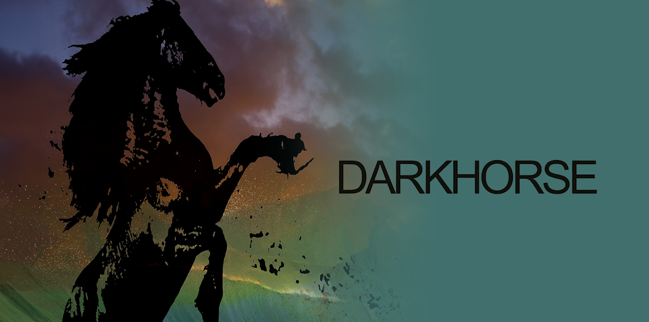 Darkhorse: The Bro Tape (2013)