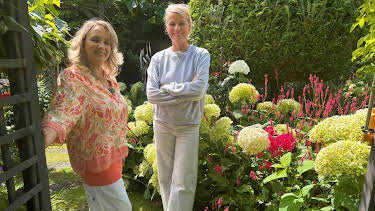 03:00: rbb Gartenzeit | RBB Fernsehen | 8/3 2026