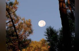 The Secret World of Nature: Spain: The Mediterranean Forest
