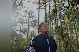 Patagonia: Life On the Edge of the World: Forests