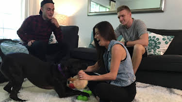 16:00: Pit Bulls & Parolees (S8 E10) (S8) | Animal Planet | 1/5 2026