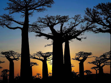 11:10: Verborgen im Dschungel - Geheimnisse aus der Vergangenheit | Kabel Eins Doku | 4/24 2026