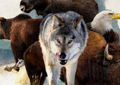 América: paisajes extraordinarios: Tierras del norte