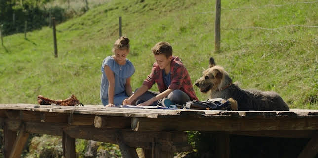 08:40: Racko - Ein Hund für alle Fälle (8/26) | Das Erste | 2/8 2026