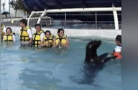 When Vacations Attack! Season 1: Episode Fourteen