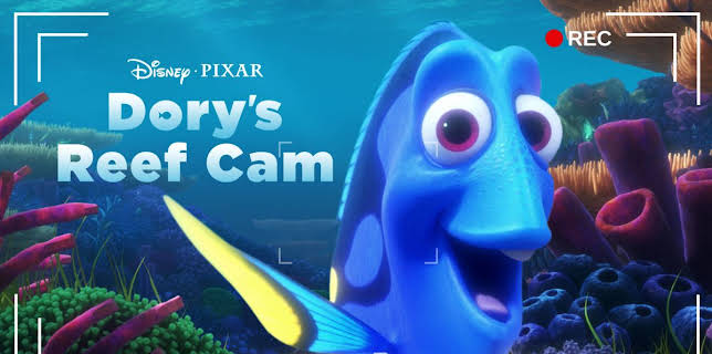 Dory's Reef Cam (2020)