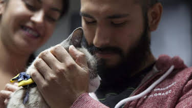 2:00 PM: Dr. Jeff: Rocky Mountain Vet (S4) | Discovery Channel | 8/17 2026