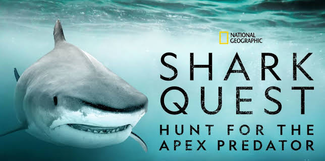 Shark Quest: Hunt for the Apex Predator