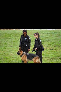 21:07: Hudson y Rex (T7): Ep.4 K9: La Nueva Generación Rex | AXN | 4/7 2026