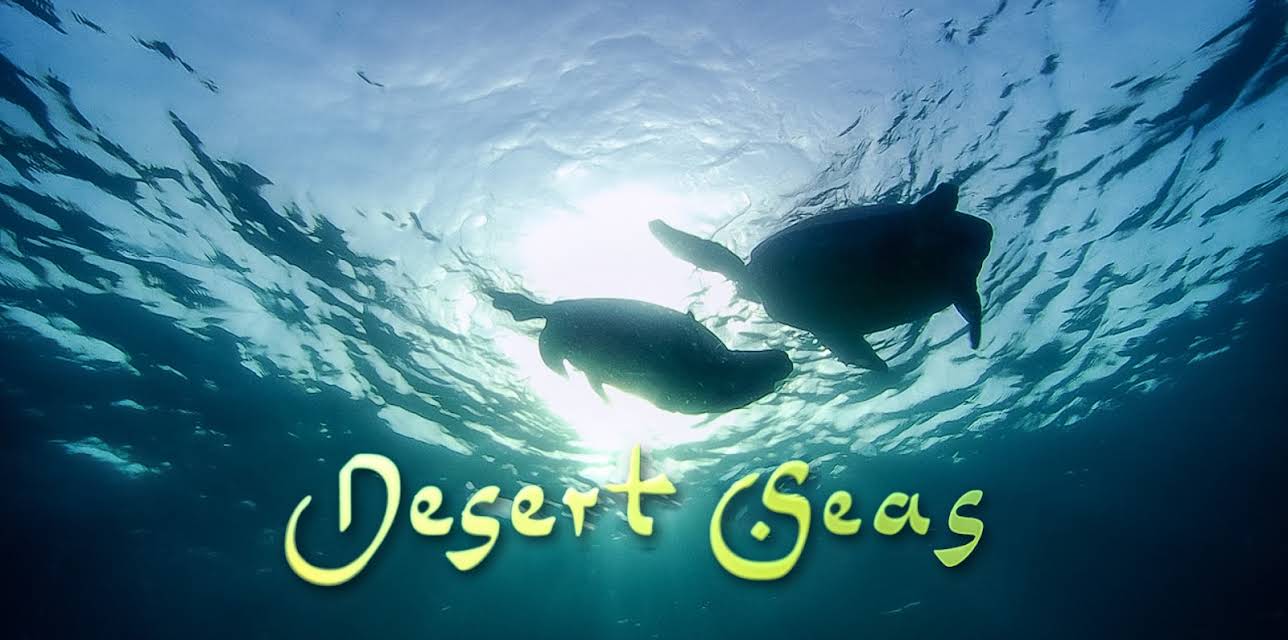 Desert Seas (2011)