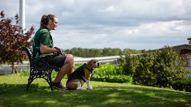 7:55 PM: The Dog House | More 4 | 9/30 2026