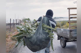 Italy Sicily Gela: Cristian Capizello (Episode 9 of 21)