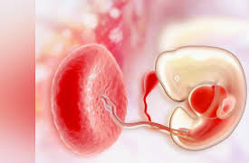 Unlocking the Hidden History of DNA: Microbes Manipulate Us, Viruses Are Us