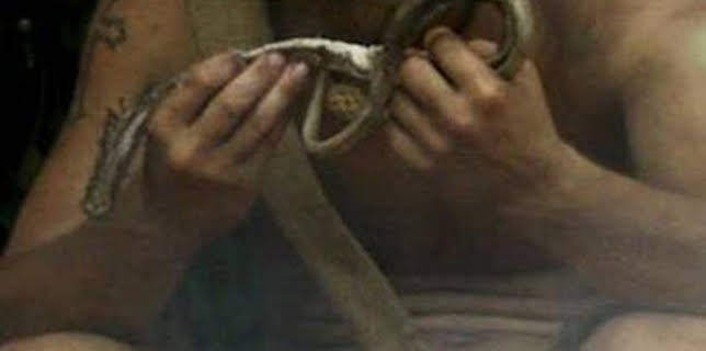 20:08: Aventura en pelotas: La reina de la ciénaga | Discovery | 3/15 2026