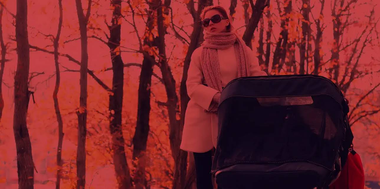 The Wrong Nanny (2017)