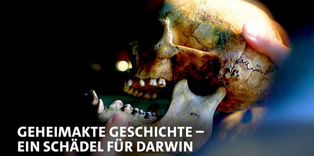 23:55: Geheimakte Geschichte - Ein Schädel für Darwin | MDR Fernsehen | 1/11 2026