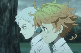 The Promised Neverland: Season 1: 131045