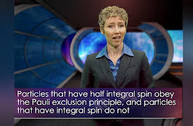 Understanding the Quantum World: Fermions and Bosons