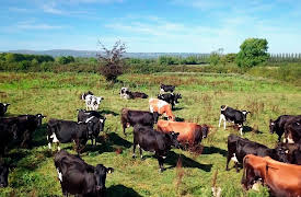 EcoEye with Duncan Stuart: Land Matters