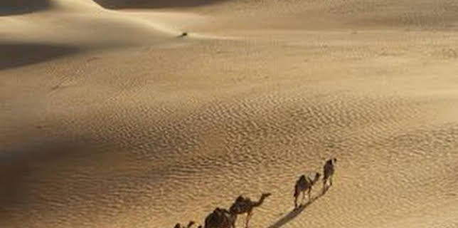 10:57: Secretos en la arena: Episodio 3 | Discovery Max | 3/3 2026