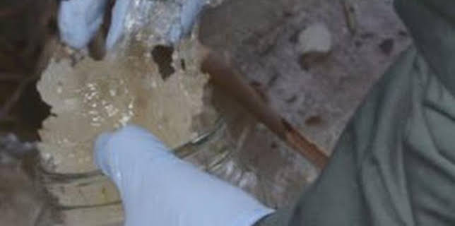 08:14: Seprona en acción: Episodio 7 | Discovery Max | 2/11 2026