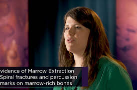 Early Humans: Ice, Stone, and Survival: Feast or Famine? The Paleolithic Diet