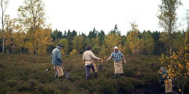 12:25: Stadt Land Kunst | Arte | 1/9 2026