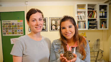 07:10: Anna und die wilden Tiere | Das Erste | 4/4 2026