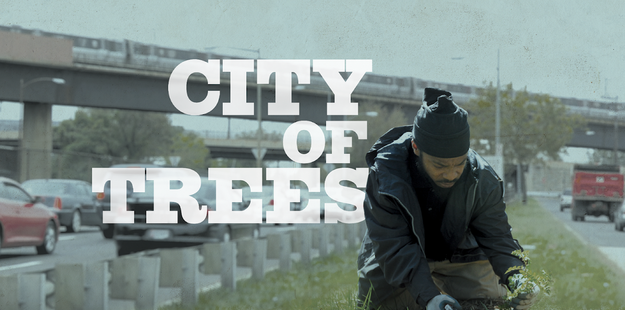 City of Trees (2015)