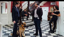 Hudson y Rex (T2): Ep.1 Desconocidos en la noche