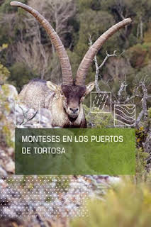 05:05: Monteses en los puertos de Tortosa | Caza y Pesca | 8/28 2026