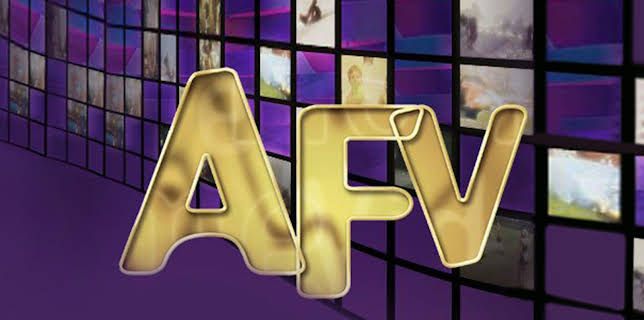 America's Funniest Home Videos Collection 1