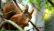 Abenteuer Wildnis