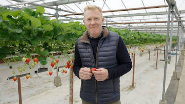 6:25 AM: Countryfile | BBC Two | 8/16 2026