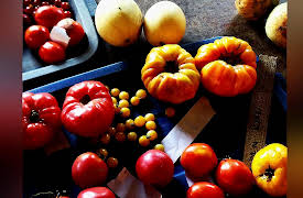 Taste Hunters: Canada