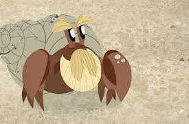 Puffin Rock Season 1: Bernie's Shell