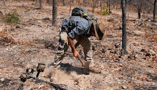 Australian Gold - Schatzsuche Down Under