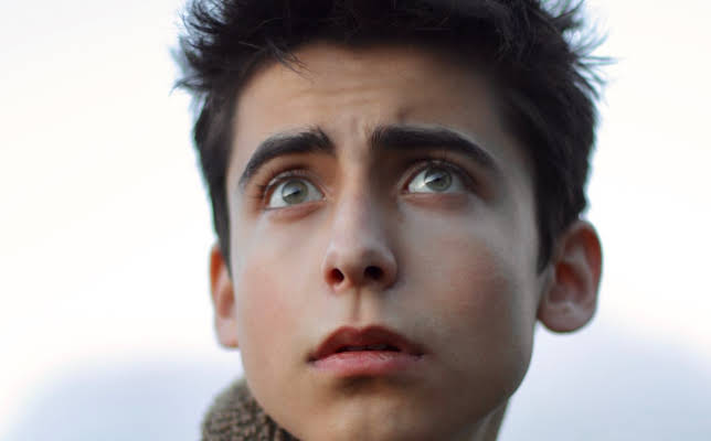 Aidan Gallagher