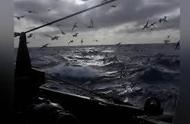 Celebrity Trawlermen: All At Sea: Episode 2