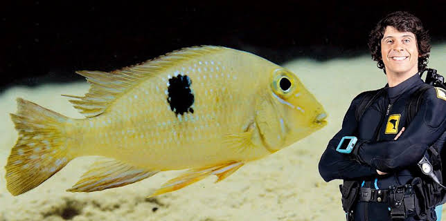 12:10 PM: Andy's Aquatic Adventures (S2) | Cbeebies | 12/13 2025