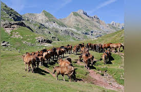 The Big History of Civilizations: The Importance of the Nomads